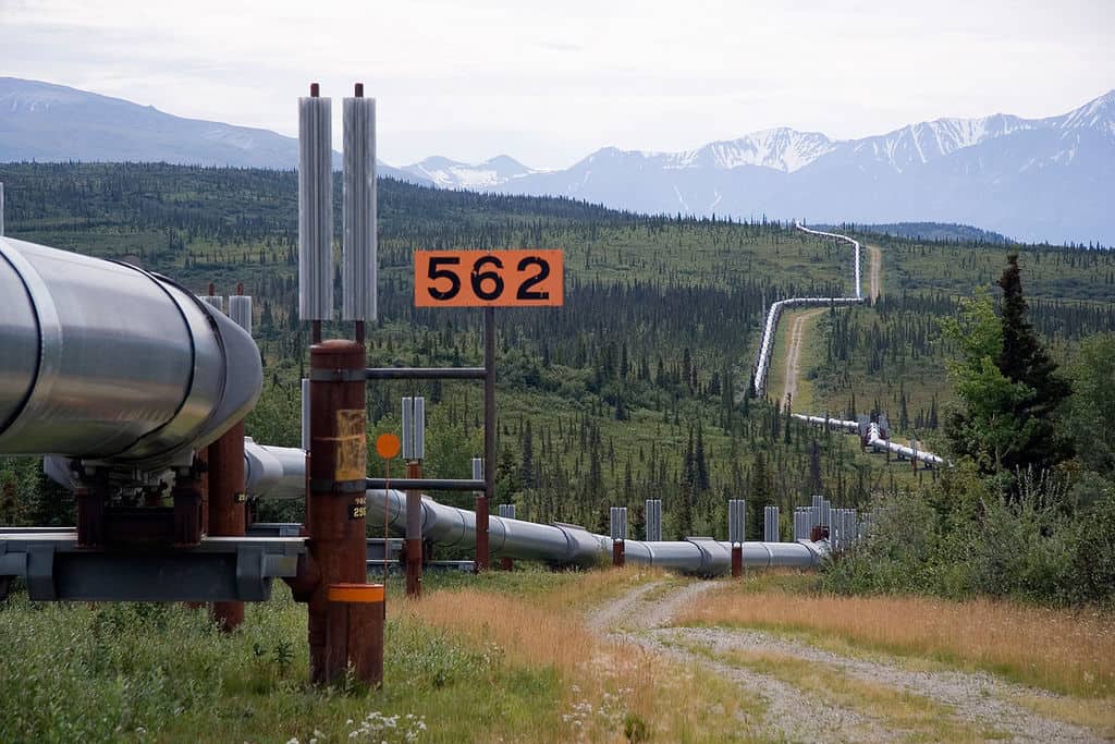 Image of Trans-Alaska Pipeline