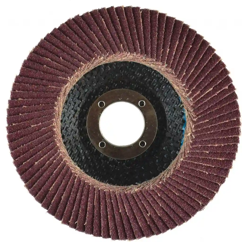 example of aluminum oxide flap disc.webp